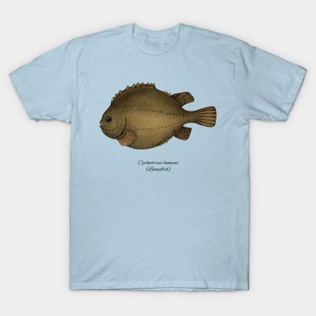 Cyclopterus lumpus T-Shirt by eugeniahauss